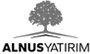 Alnus Yatırım