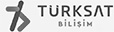 Türksat Bilişim