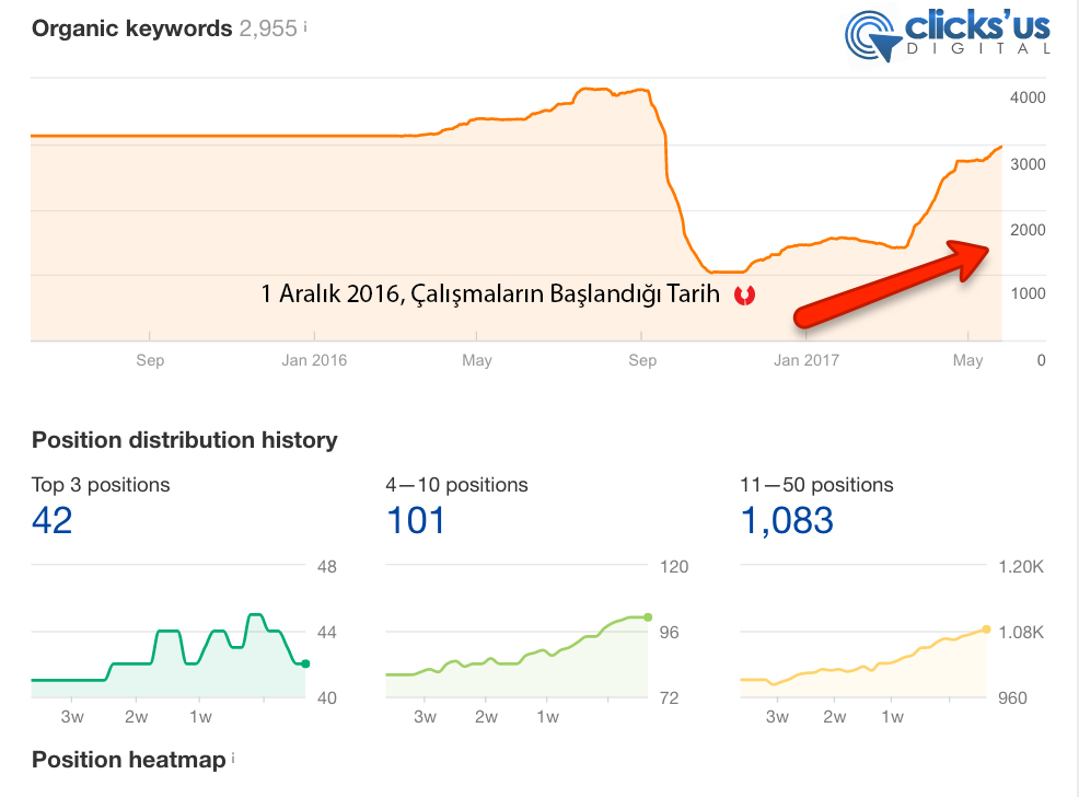 organik anahtar kelime - Pazarlama Türkiye'nin SEO Başarısı