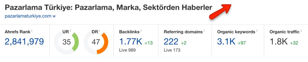 yemyesil 1024x206 - Pazarlama Türkiye'nin SEO Başarısı