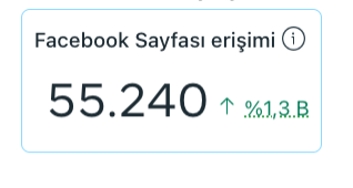 yeo-facebook-sayfasi-erisimi