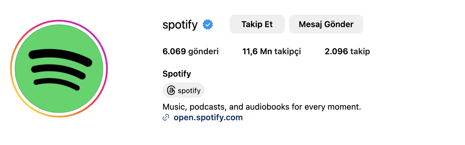 instagram-bio-ornekleri